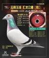 图片暂时未上传