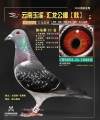 图片暂时未上传