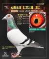 图片暂时未上传