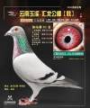 图片暂时未上传