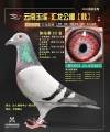 图片暂时未上传