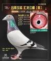 图片暂时未上传
