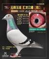 图片暂时未上传