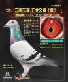 图片暂时未上传