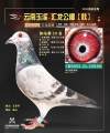图片暂时未上传