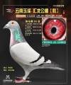 图片暂时未上传