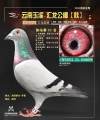 图片暂时未上传