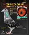 图片暂时未上传