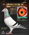 图片暂时未上传
