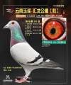 图片暂时未上传