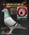 图片暂时未上传