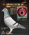 图片暂时未上传