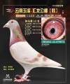 图片暂时未上传