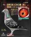 图片暂时未上传