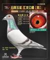 图片暂时未上传