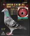 图片暂时未上传