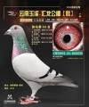 图片暂时未上传