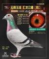 图片暂时未上传