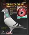 图片暂时未上传