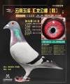 图片暂时未上传