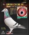 图片暂时未上传