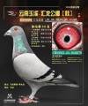 图片暂时未上传