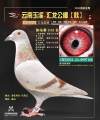 图片暂时未上传