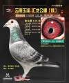 图片暂时未上传