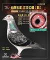 图片暂时未上传
