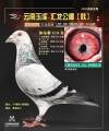图片暂时未上传