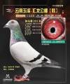 图片暂时未上传