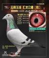 图片暂时未上传