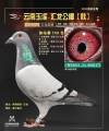 图片暂时未上传