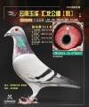 图片暂时未上传