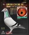 图片暂时未上传