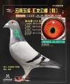 图片暂时未上传
