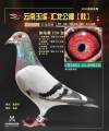 图片暂时未上传