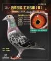图片暂时未上传