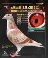 图片暂时未上传