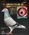 图片暂时未上传