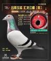 图片暂时未上传