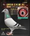 图片暂时未上传