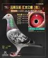 图片暂时未上传
