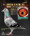 图片暂时未上传