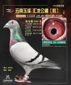 图片暂时未上传