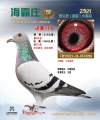 图片暂时未上传