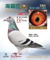 图片暂时未上传