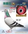 图片暂时未上传