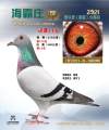 图片暂时未上传