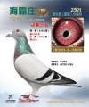 图片暂时未上传